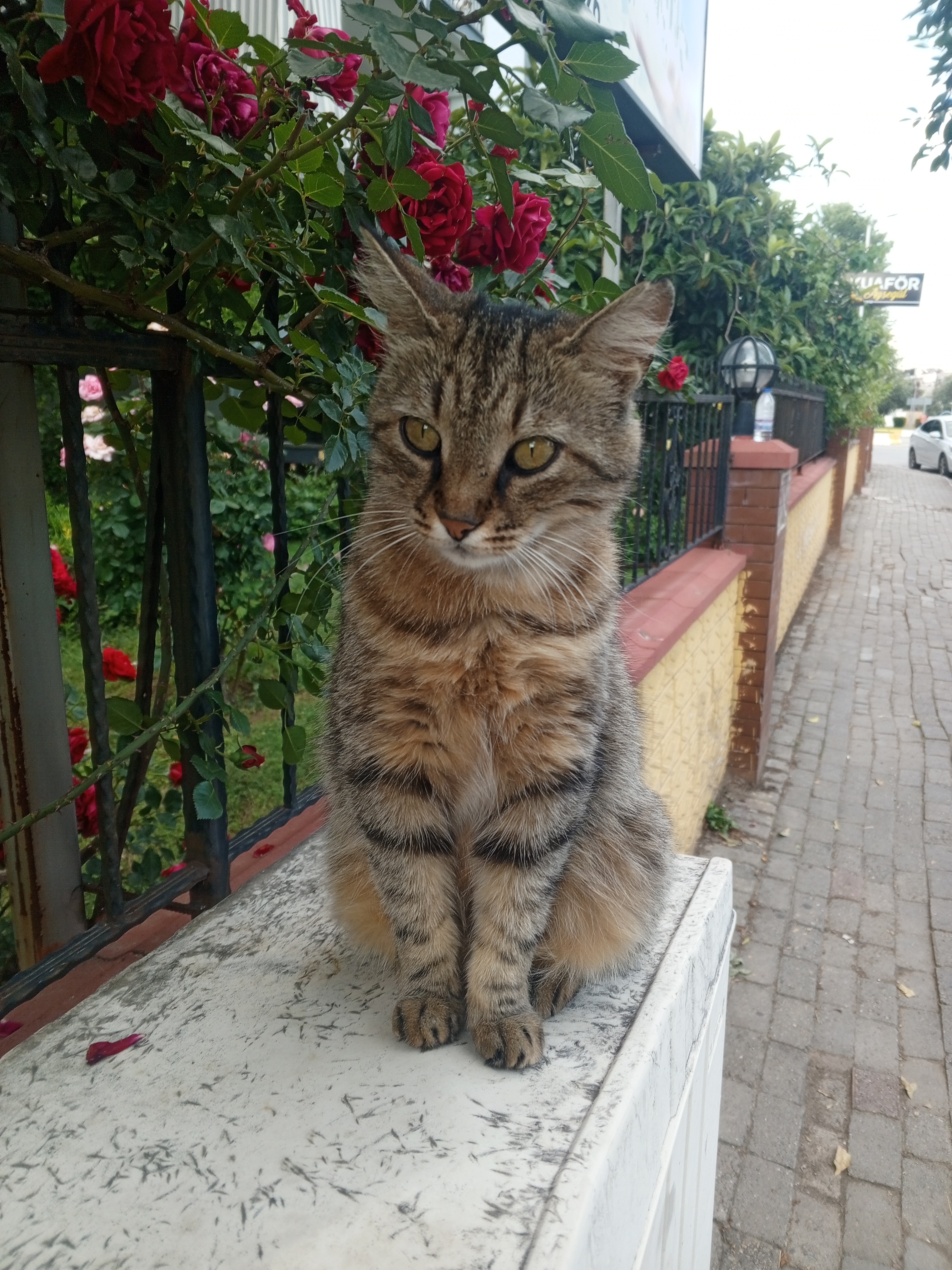 Galeri Fotoğrafı 2