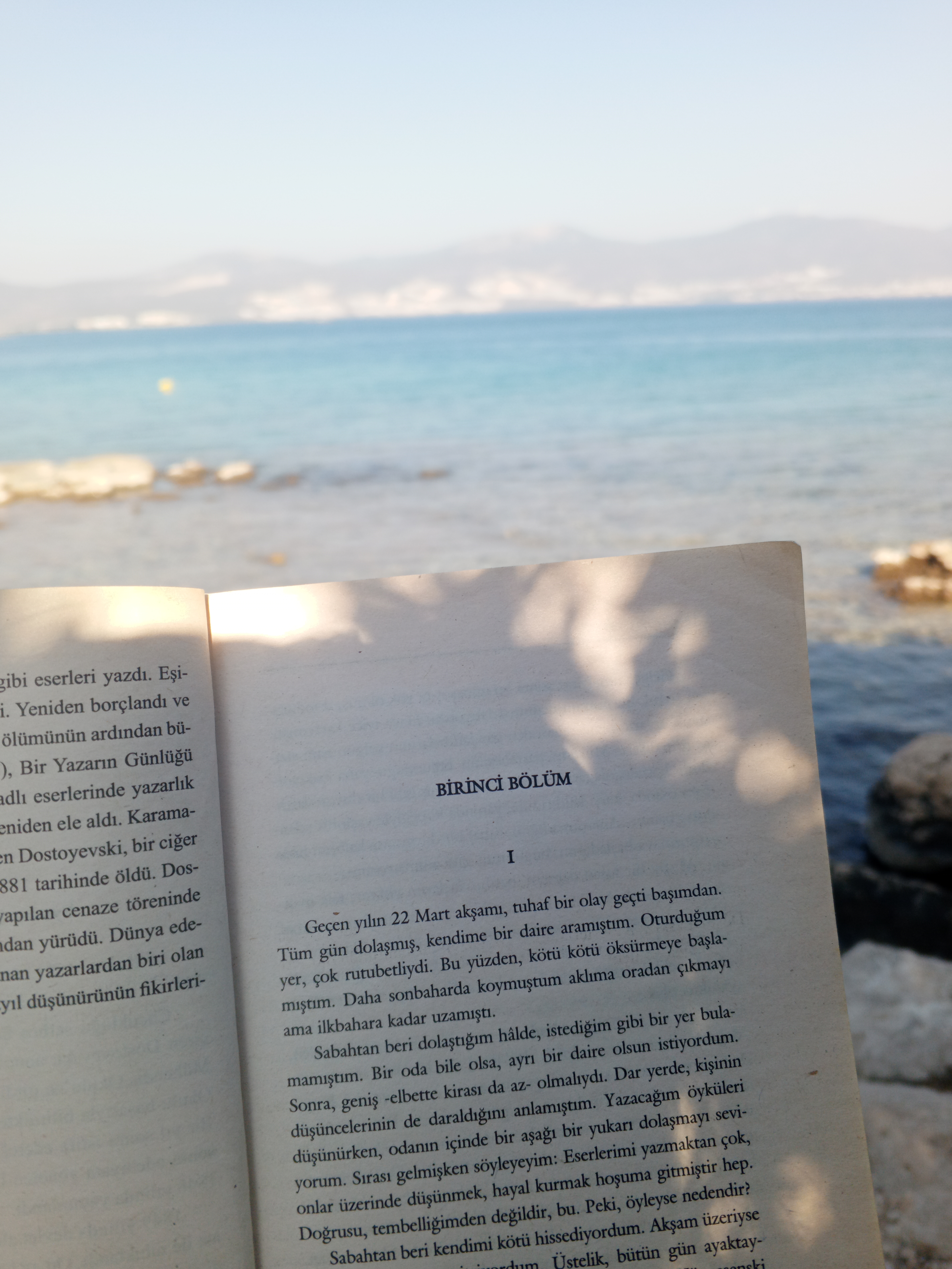 Galeri Fotoğrafı 9